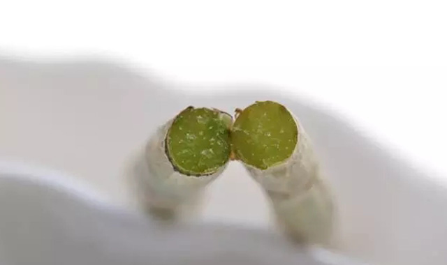 小孩子吃铁皮石斛需要注意些什么？